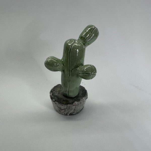 Cactus decorativo pequeño - Imagen 2