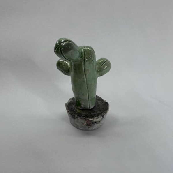 Cactus decorativo pequeño